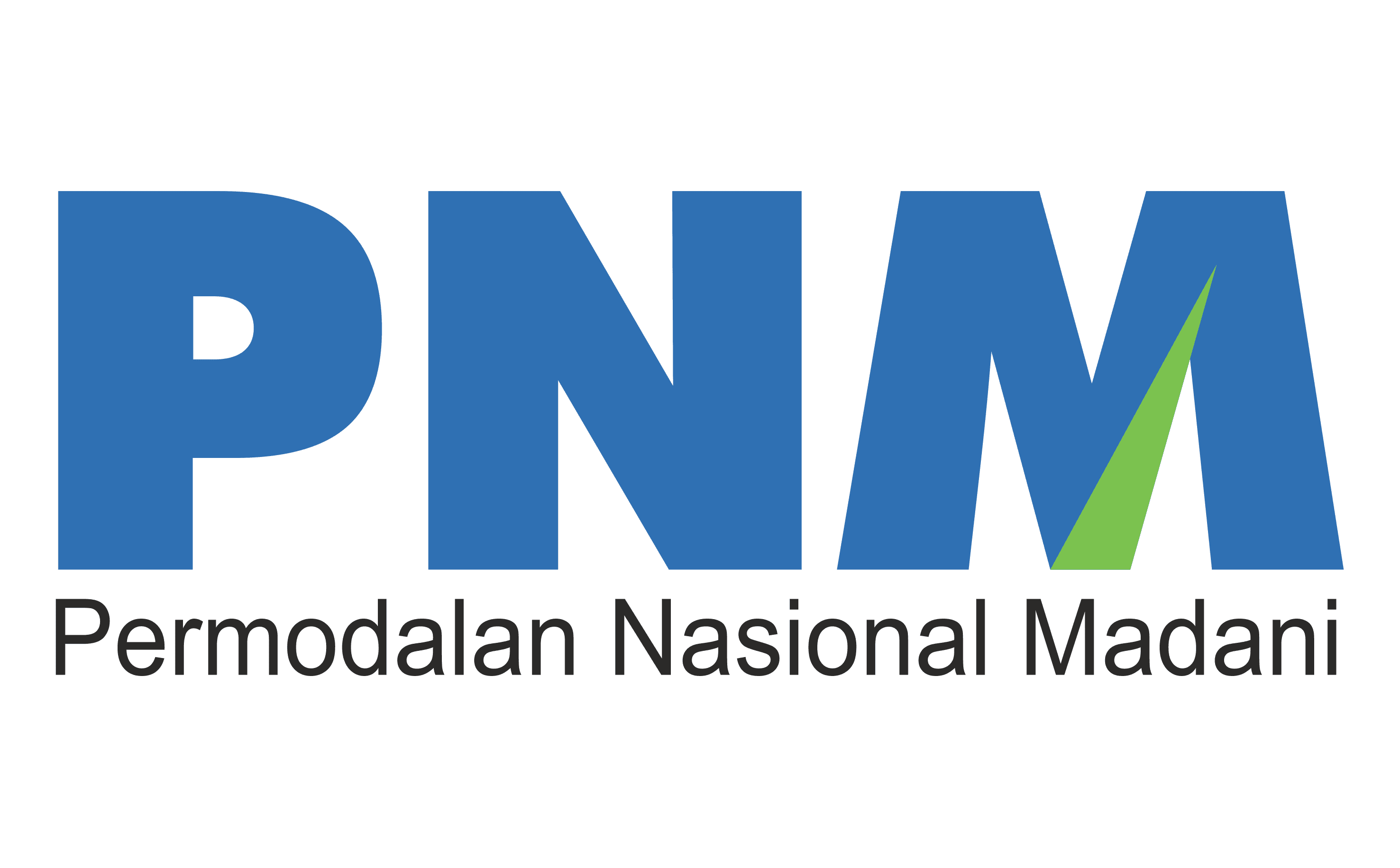 Pt Pnm